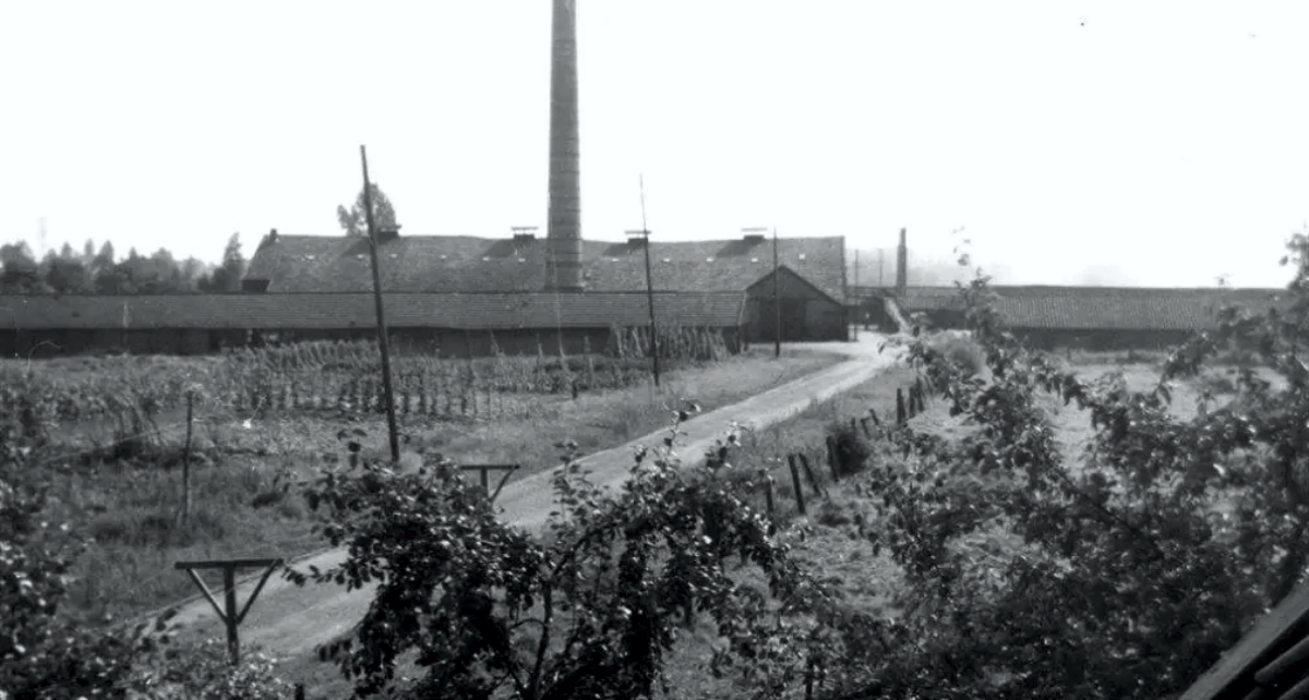 Historische opname van de steenfabriek aan de Steenbakkersweg te Borne